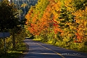 Fall Colours Quebec No-1165